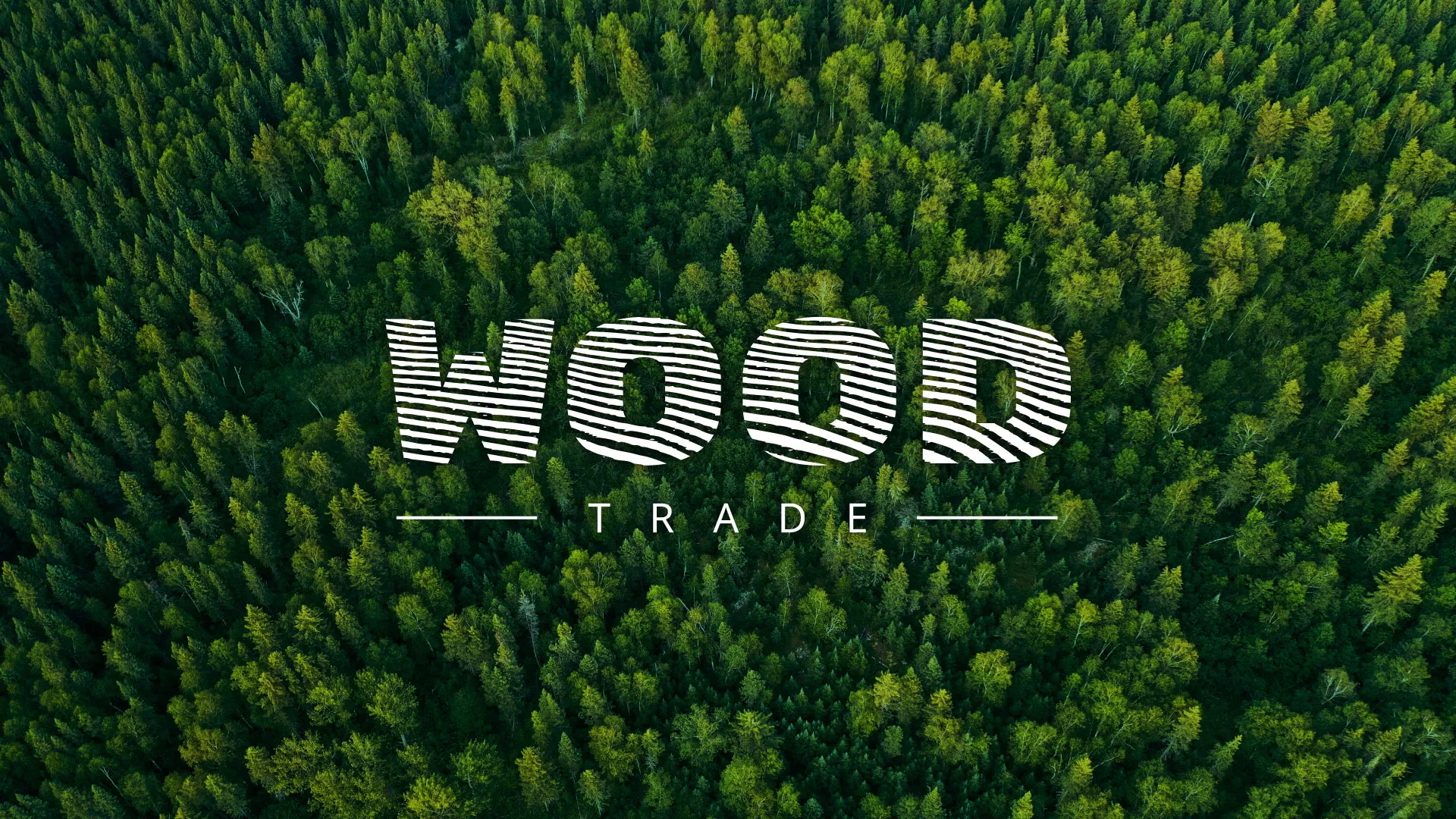 Разработка интернет-магазина компании «Wood Trade» в Карачеве