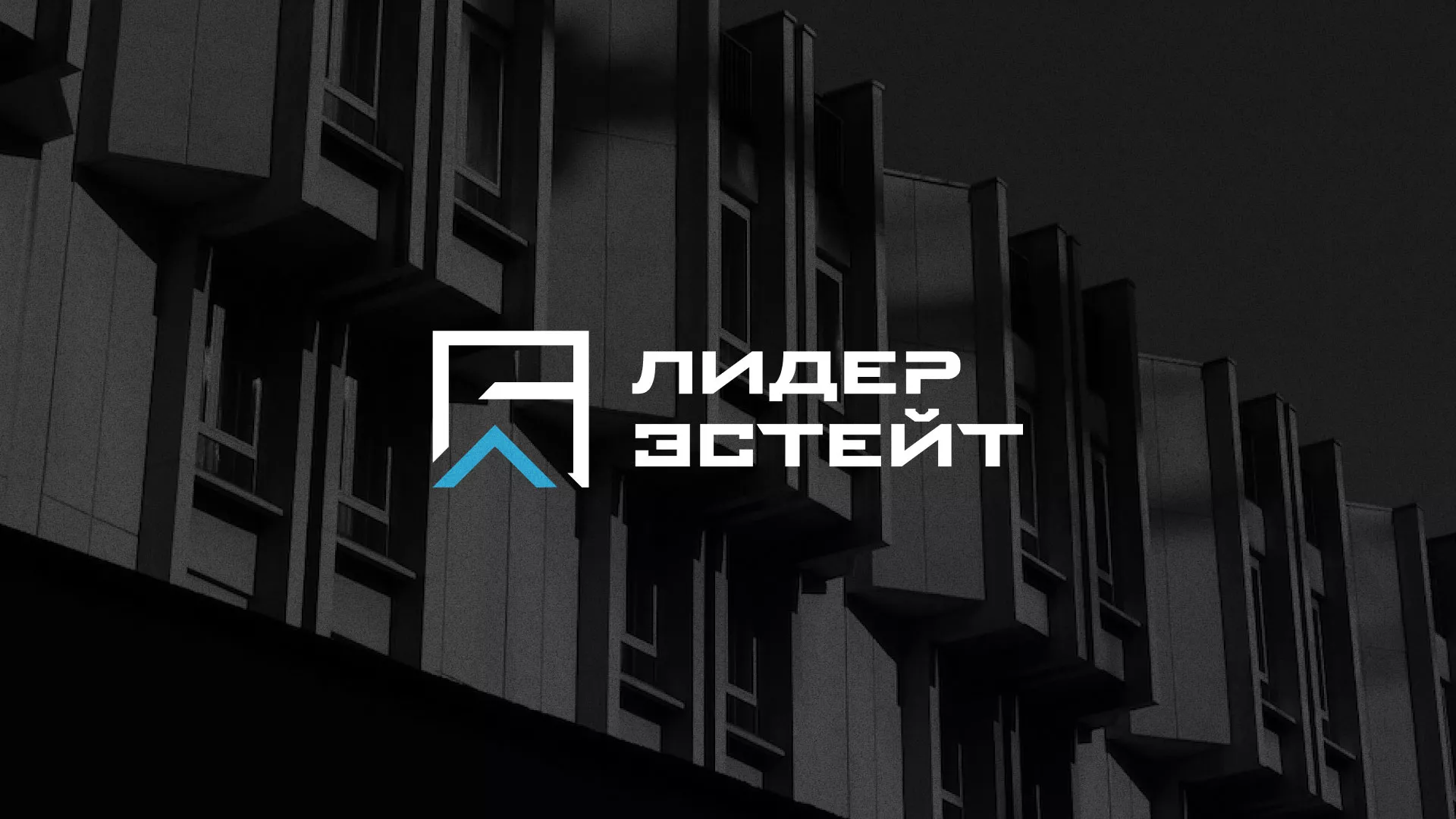 Разработка логотипа агентства недвижимости «Лидер Эстейт» в Карачеве